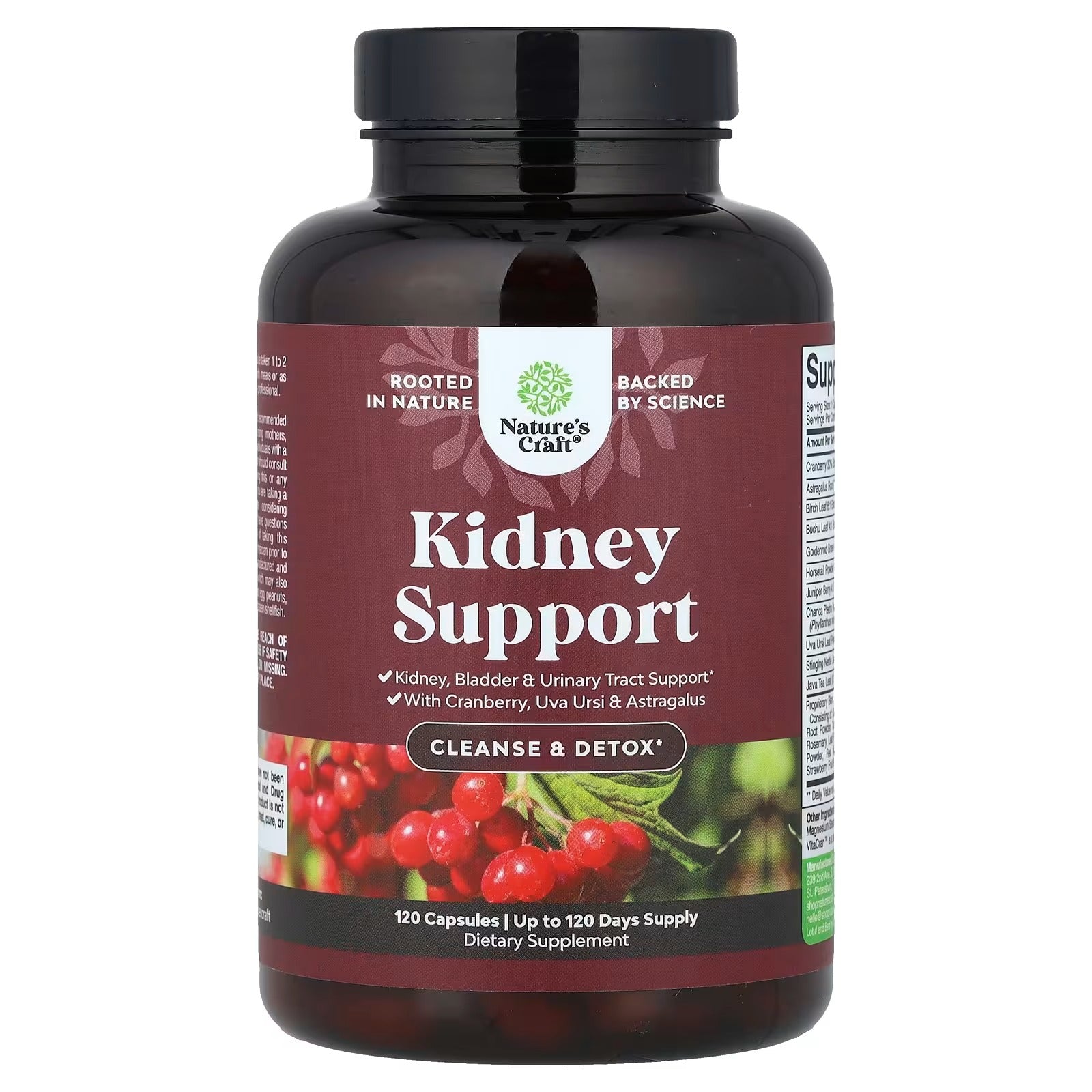 hhp kidney tonic 500ml