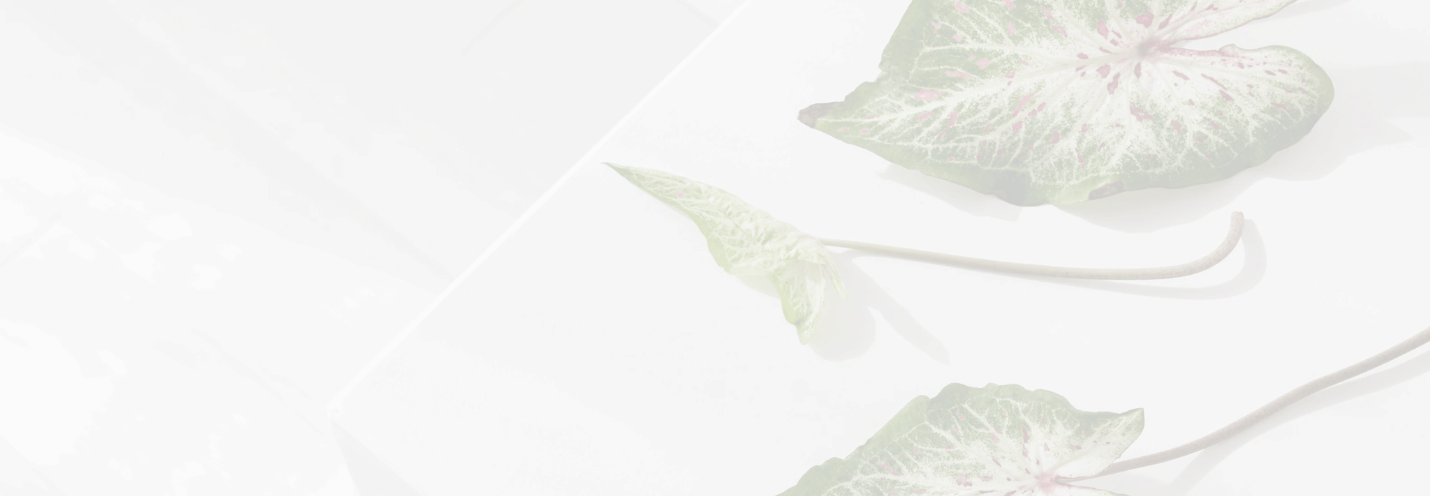 EGO Pinetarsol Shower Pk 200ml