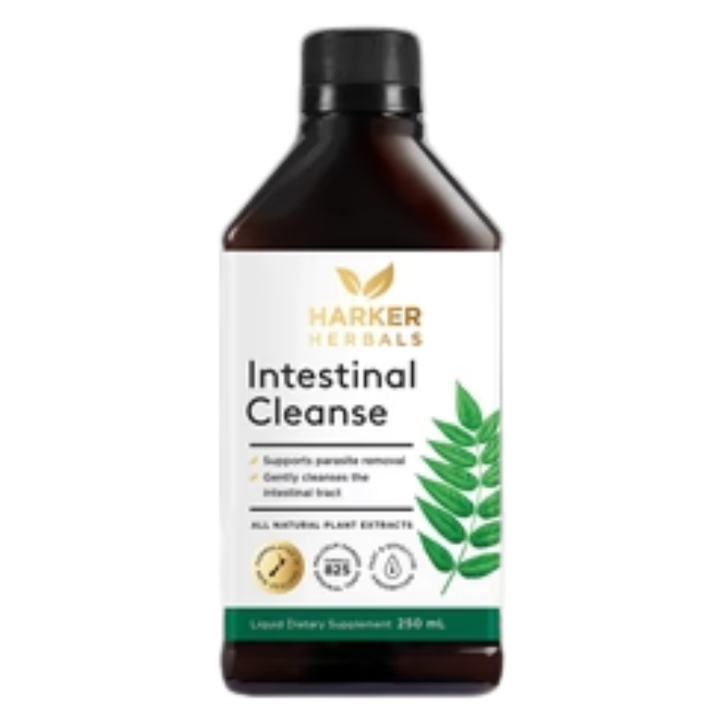 HHP Intestinal Cleanse 250ml